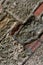 Gray brick background close-up inclined pattern part of the wall of the house