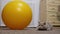 Gray British Cat Hiding in an Ambush near the Big Yellow Fitness Ball. Close up