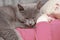 The gray British cat sleeps on the girl in the bed. Fluffy four-legged friend is resting. Cat lying on bed with young girl