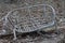 A gray broken wicker wooden chair stands on the ground and dry leaves