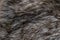 Gray Brown Faux Wolf Fur Texture Background