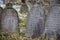 Gray and brown gravestones in an old Jewish cemetery in the Carpathian mountains. Hebrew inscriptions on tombstones. Jewish