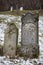 Gray and brown gravestones in an old Jewish cemetery in the Carpathian mountains. Hebrew inscriptions on tombstones. Jewish