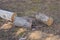 gray brown pine log cut into three parts