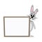 Gray bunny look behind board isolated background