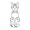 Gray cat.Animals single icon in outline style vector symbol stock illustration web.
