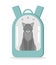 A gray cat sitting in a blue carrier backpack with a transparent window on a white background. Flat vector illustration