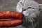 gray cat sniffs and eats a piece of red sausage
