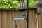 Gray Catbird Standing on Bird Feeder with Food in Mouth