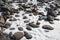 Gray cobblestones in frozen snow of winter steppe. Stones warmed up on warm day