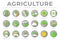 Gray and Color Agriculture Round Icon Set of Wheat, Corn, Soy, Tractor, Sunflower, Fertilizer, Sun, Water, Growth, Weather, Rain,