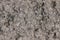 Gray concrete backgroundl with small white stones. Clous up. Tex