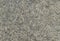 Gray concrete wall for background. Rough, rough, porous texture