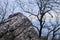 Gray cracked stone amid blurry winter trees and sea