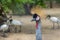 Gray crowned crane in the zoo is a rare species