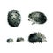 Gray cute hedgehogs set