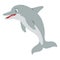 Gray dolphin flat style illustration. Happy smiling face, jumping. Cheerful mascot and character for children. Cute wildlife under
