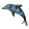 Gray dolphin. Sea dweller Watercolor. Isolated object on white background.