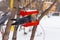 A gray dove with a rainbow neck in a red wooden bird feeder in a park in winter. Inscription in Russian - dining room