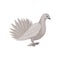 Gray dove, side view. Bird with fluffy tail. Flying creature. Flat vector element for poster or banner