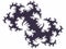 Gray dragon fantasy galaxy fractal, lights, abstract background, graphics