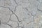 Gray dry cracked stone. Natural background texture. Grunge stone  texture background. Close up texture. Dirty grunge texture.