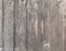 Gray fence wood textured background