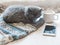 Gray fluffy kitten, cup of coffee and a phone on a white surface