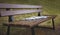 Gray forgotten umbrella walking stick rain on a bench in autumn Park, close up