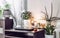 Gray gender neutral home office with lot of calming green live potted flower plants growing. Green healthy calm lifestyle concept.