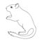 Gray gerbil.Animals single icon in outline style vector symbol stock illustration web.