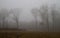 Gray Gloomy Foggy Landscape Background