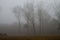 Gray Gloomy Foggy Landscape Background