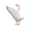 Gray goose standing with open wings, side view. Large farm bird. Domestic animal. Flat vector design