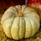 Gray green pumpkin large ribbed closeup vegetable seasonal autumn farmer ingredient dishes