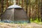 Gray-green tourist tent on a background of a pine forest. Back view