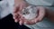 Gray hamster sitting on the hands of a little girl. Close up V2