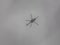Gray helicopter in dense clouds in cloudy weather in poor visibility conditions