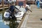 Gray heron searching for fish on a pier near boat in marina.