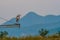 Gray heron standing on a metal crossbeam