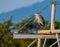 Gray heron standing on a metal crossbeam