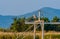 Gray heron standing on a metal crossbeam