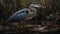 Gray heron wading in tranquil swamp, fishing with selective focus generated by AI