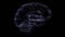 Gray hologram human brain on black background.