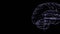 Gray hologram human brain on black text space.