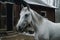 A Gray Horse Standing In Front Of A Wooden Barn With A Red Roof. Generative AI