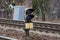 Gray iron signal lamp stands among rail and sleepers on the railway