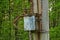 Gray iron transformer in brown rust with wires on a concrete pole