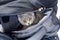 Gray kitten in a bag, tiny cat hiding in a backpack