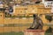 Gray langur sitting near Bundi old town, India